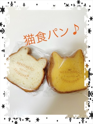 みなみ
