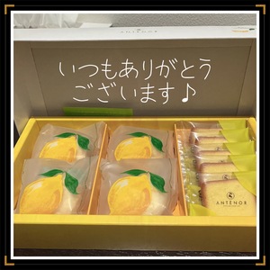 みなみ