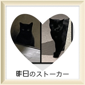 みなみ