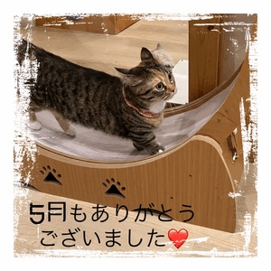 みなみ