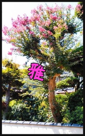 はっぴー⭐️