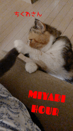 御礼です?