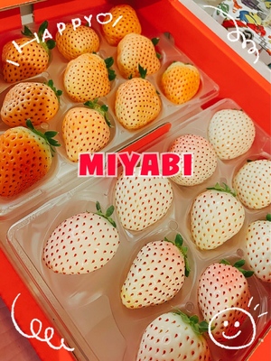 御礼です