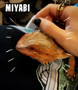 御礼です