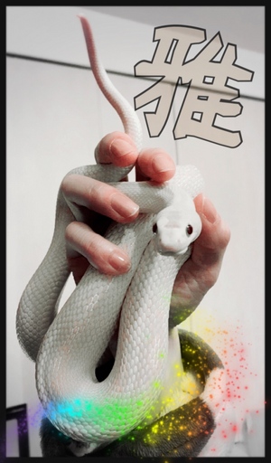はっぴー