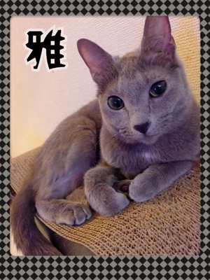 はっぴー