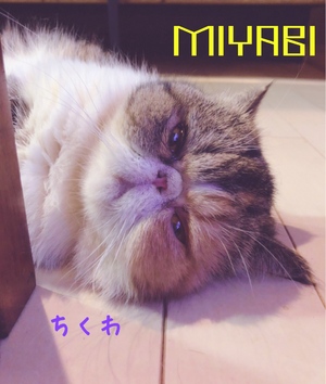 御礼です