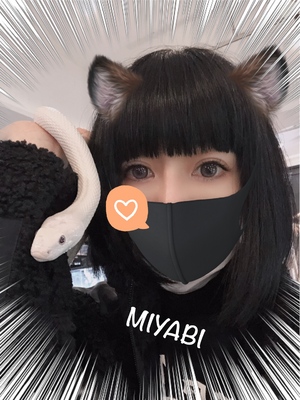 御礼です