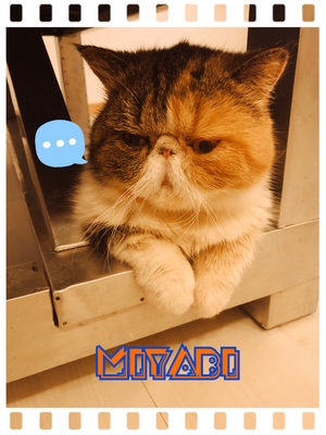 御礼です