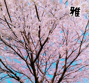 御礼です