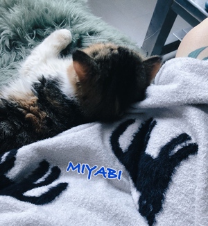 はっぴー。
