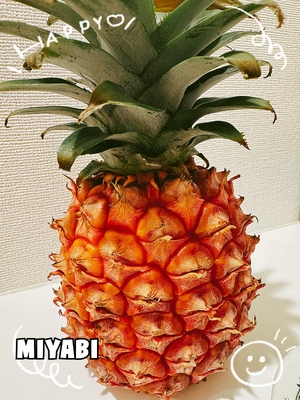 御礼です