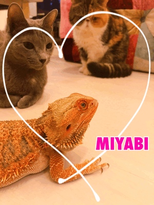 御礼です