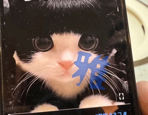 御礼です