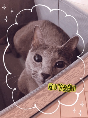 御礼です