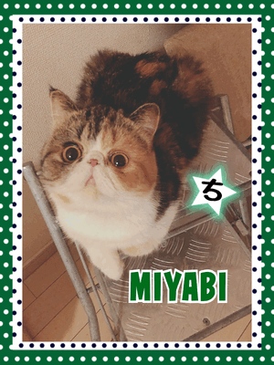 御礼です