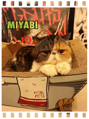 御礼です