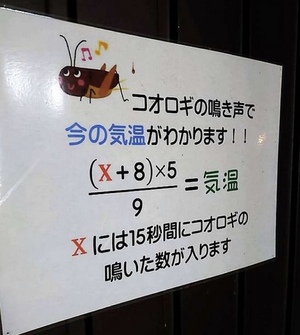 おはようございます！❤️😆