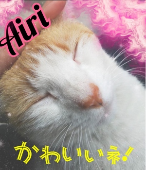 本日も！