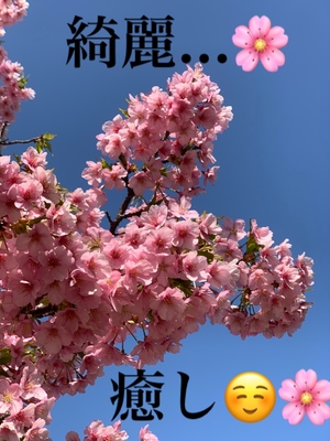 おはようございます!おそ!
