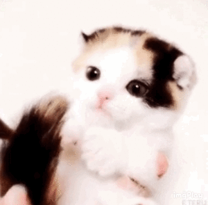 本日も