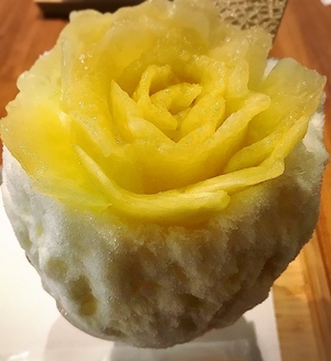 おはようございます！