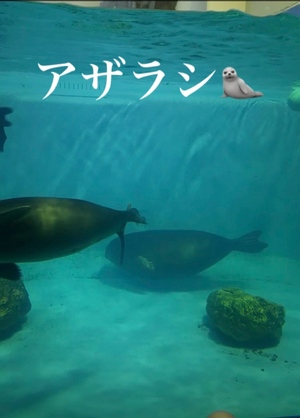 ありがとうございました!
