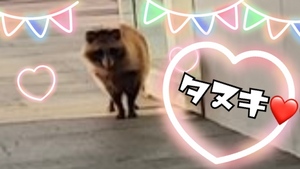 ありがとうございました🫶