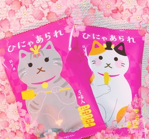 おはようございます！