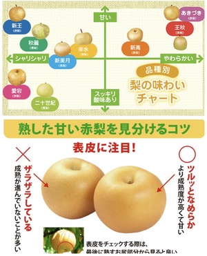 おはようございます!!