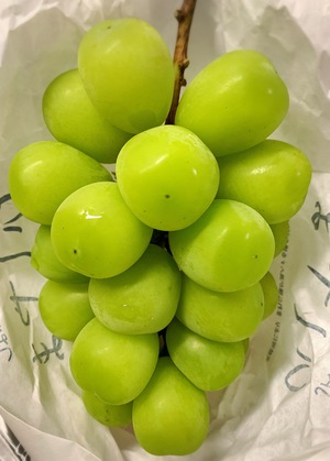 おはようございます!!