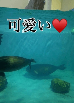 お晩どす
