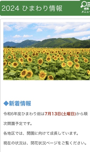 気になって