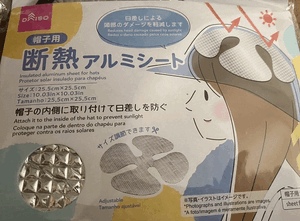 本日も!