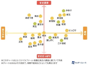 今年もこの季節が！
