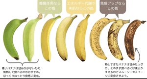 急に何ってなるかもしれないけど！笑