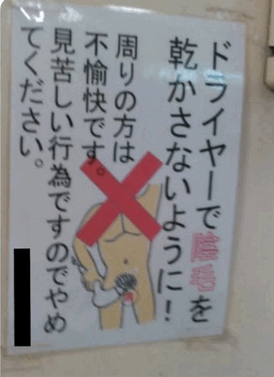 送られてきたの！