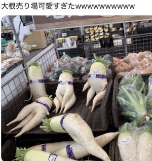 これ、すごいね！