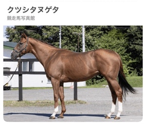 おはようございます！