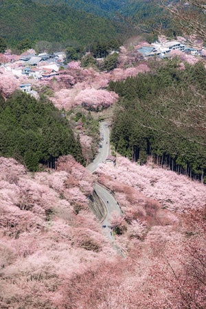 奈良県