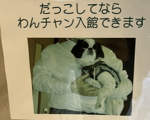 見つけた