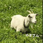 りん