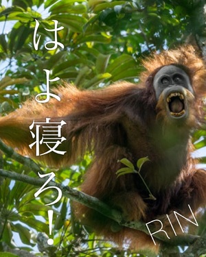 りん