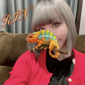 りん