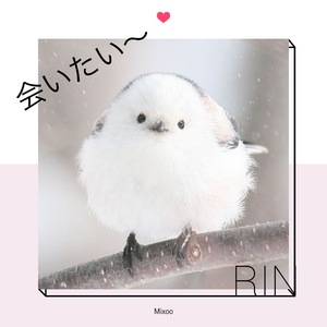 りん