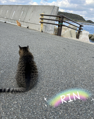 りん