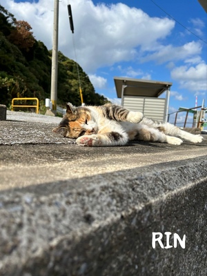 りん
