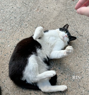 りん