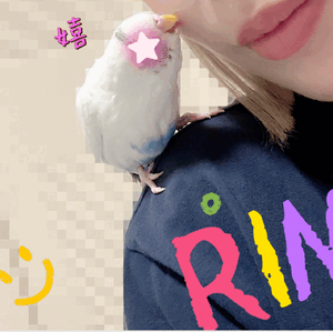りん