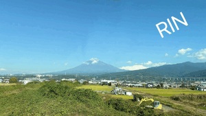 りん